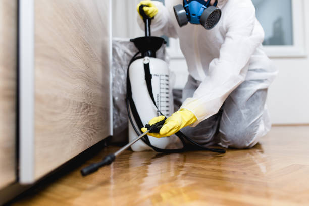 Best Best Pest Control Companies  in Chevy Chase Village, MD