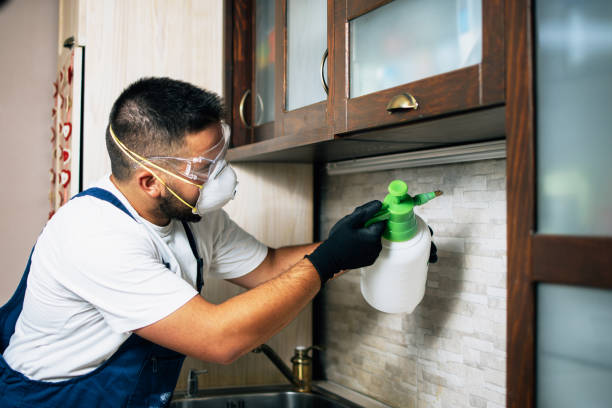 Best Pest Removal Services  in Chevy Chase Village, MD