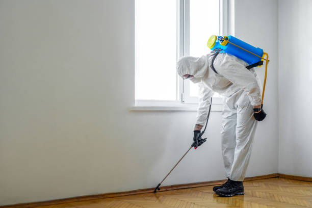 Professional Pest Control in Chevy Chase Village, MD