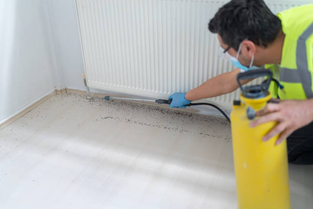 Best Ant Control Services  in Chevy Chase Village, MD
